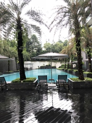The Laurels (D9), Condominium #172912352